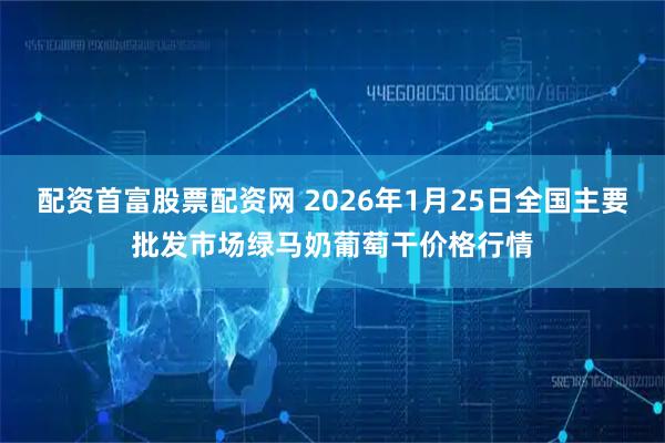 配资首富股票配资网 2026年1月25日全国主要批发市场绿马奶葡萄干价格行情